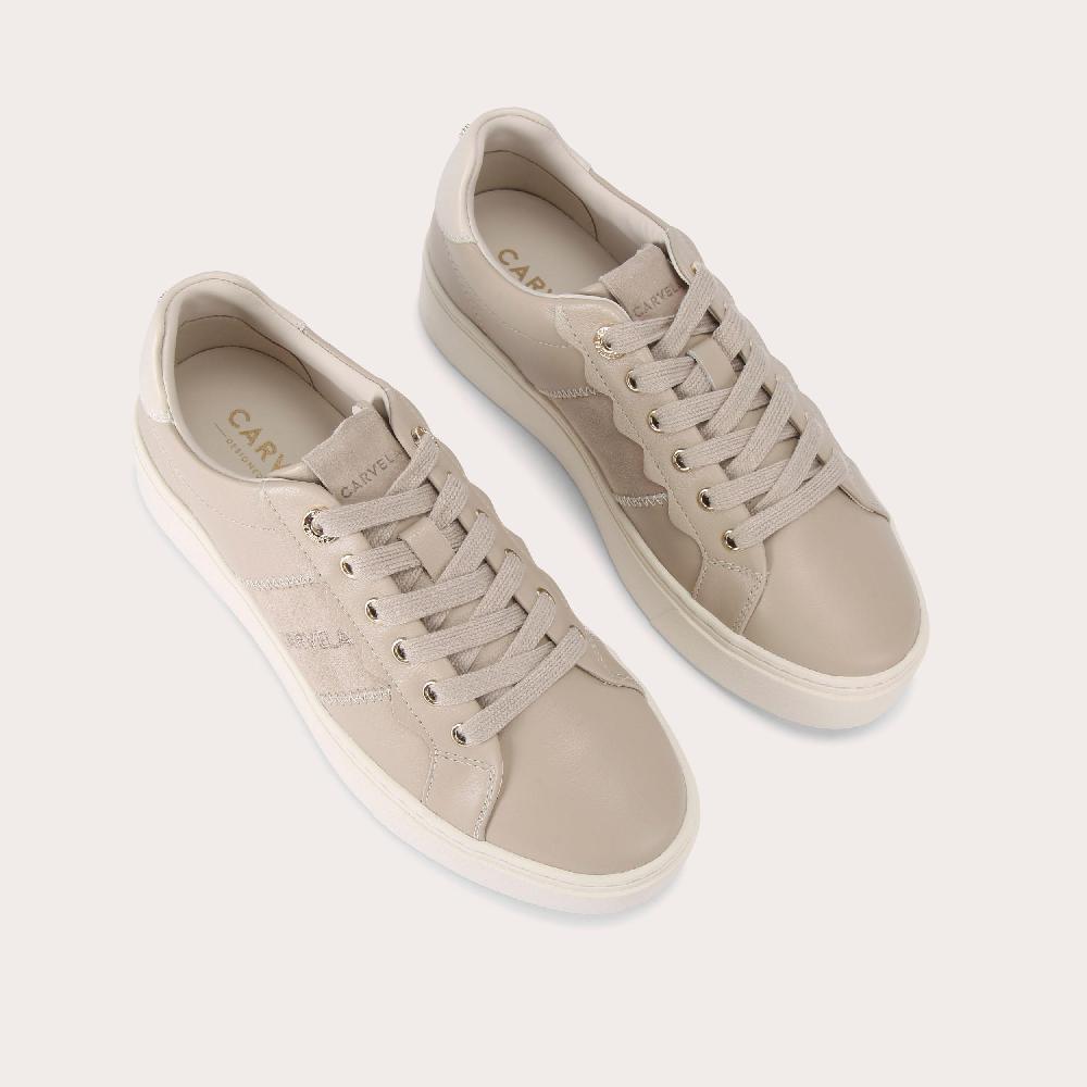 Carvela CASTELLA Taupe Suede Lace Up Trainer By CARVELA