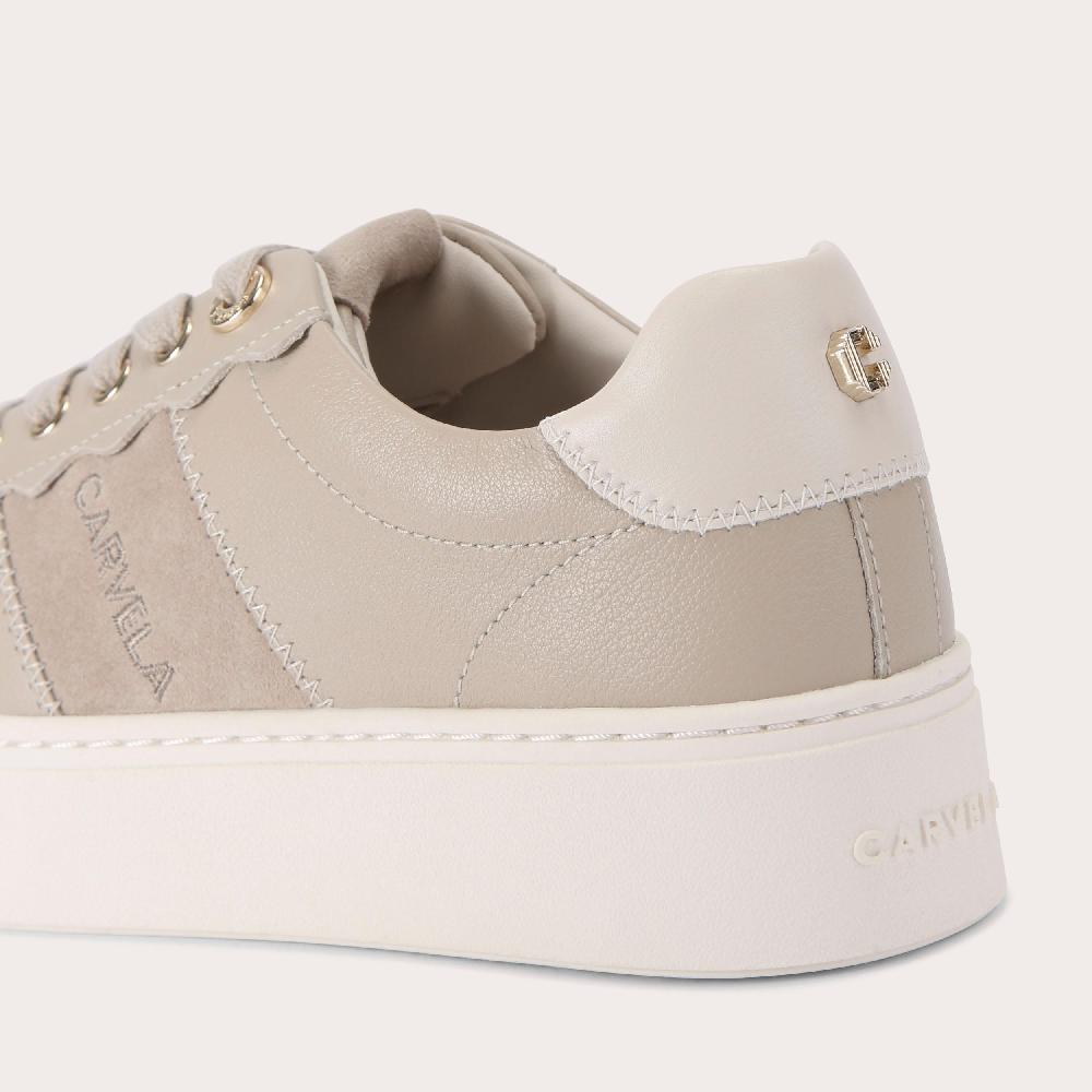 Carvela CASTELLA Taupe Suede Lace Up Trainer By CARVELA