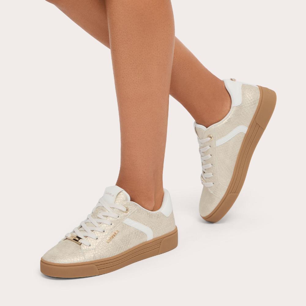 Carvela DAZE GUM Metallic Gold Snake Printed Trainer By CARVELA