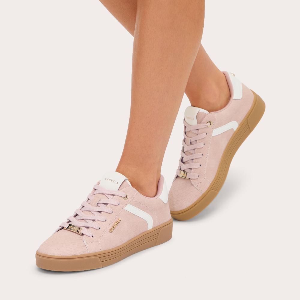 Carvela DAZE GUM Pink Snake Lace Up Trainer By CARVELA
