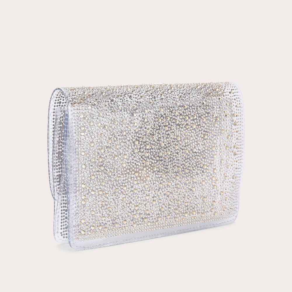 Carvela LOVEBIRD CLUTCH Transparent Clutch Bag By CARVELA