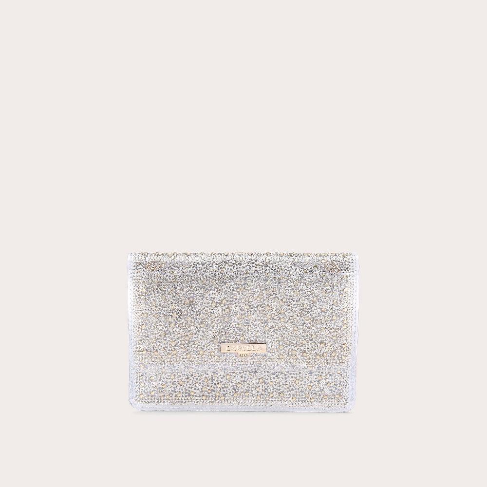 carvela LOVEBIRD CLUTCH Transparent Clutch Bag by CARVELA