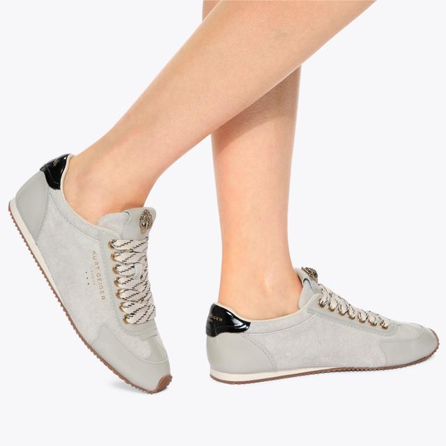 Carvela By Kurt Geiger ISLINGTON SNEAKER Beige Suede Lace Up Sneaker By KURT GEIGER LONDON
