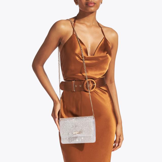 Carvela By Kurt Geiger LOVEBIRD CLUTCH Transparent Clutch Bag By CARVELA