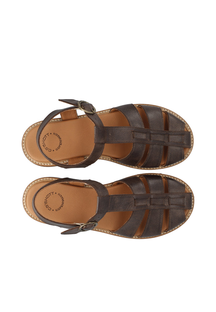 Ca'shott CASGRACE SANDAL - Coffee