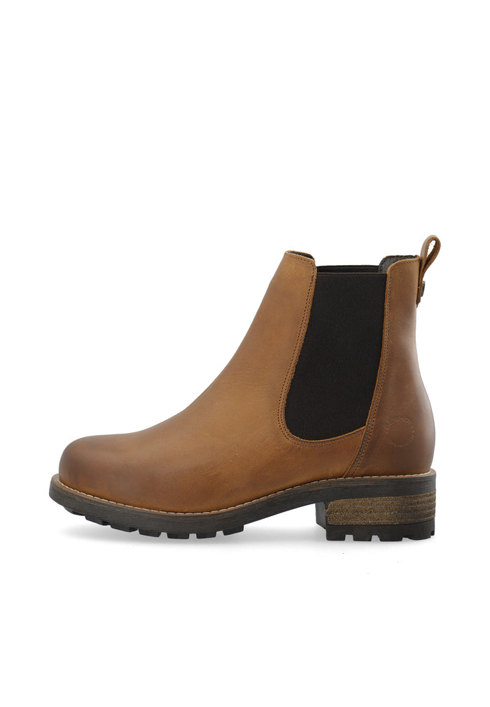 ca'shott CASKARLA CHELSEA BOOT - Bison