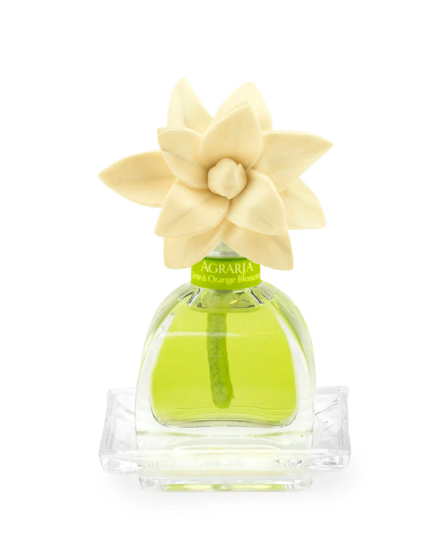Caspari Agraria Petite Essence Diffuser In Lime & Orange - 1 Each