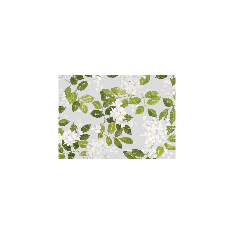 Caspari Botanical Blank - Set Of Six Greeting Cards And Envelopes