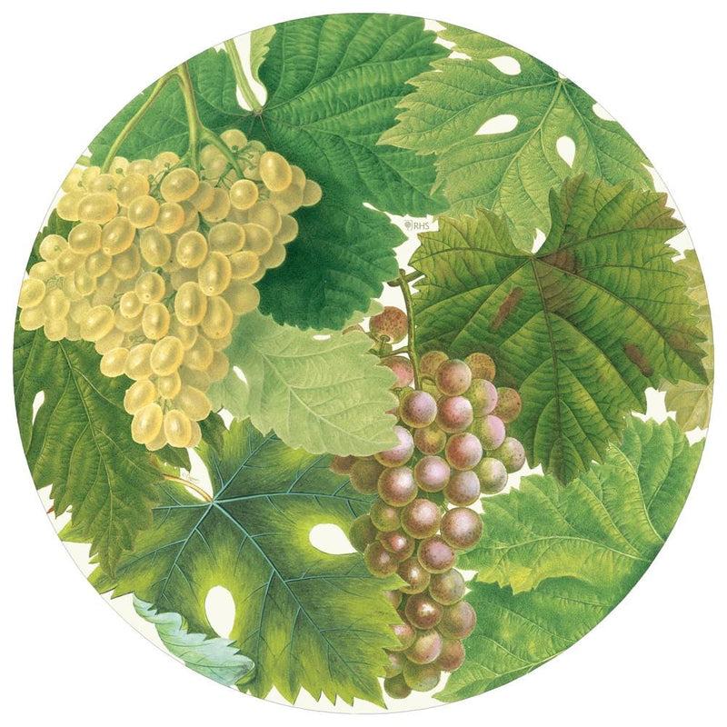 caspari Arbor Round Paper Placemats - 12 Per Package