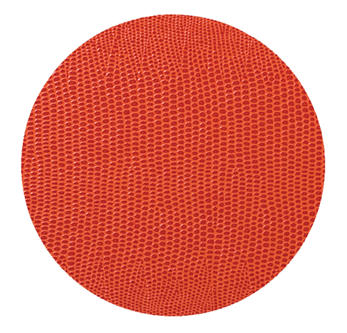 caspari Orange Lizard Coaster Round 8-In Felt