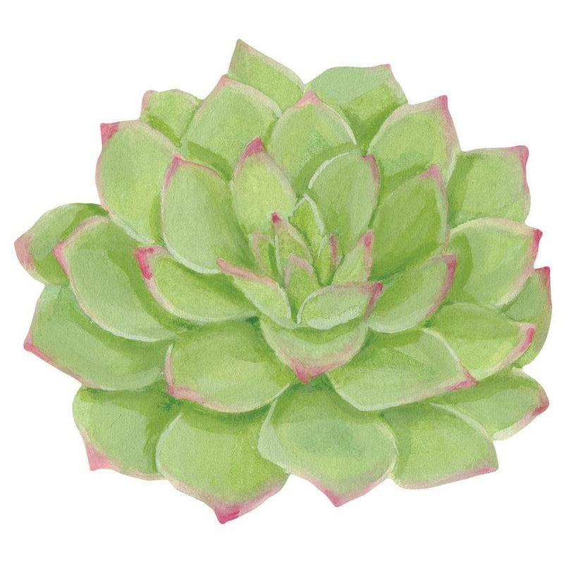 caspari Succulents Die-Cut Placemat - 4 Per Package