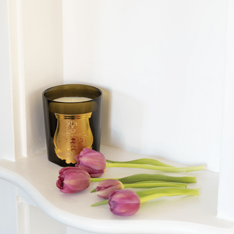 Caspari Trudon Classic Scented Candle - Odalisque