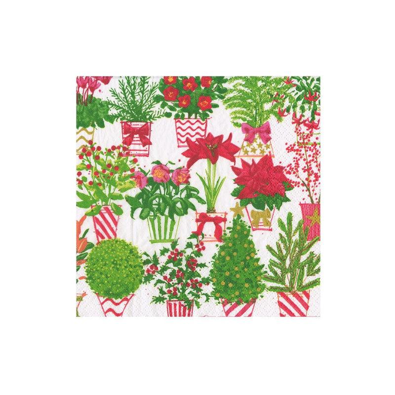 caspari Christmas Flower Market Boxed Cocktail Napkins - 40 Per Box