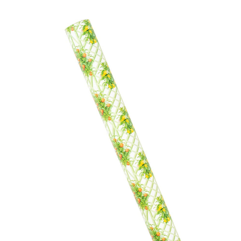 Caspari Citrus Topiaries Gift Wrapping Paper In White - 30" X 8' Roll