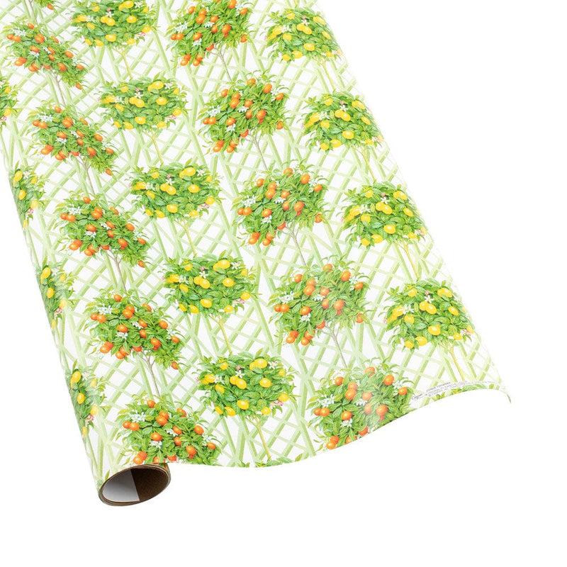 caspari Citrus Topiaries Gift Wrapping Paper in White - 30" x 8' Roll