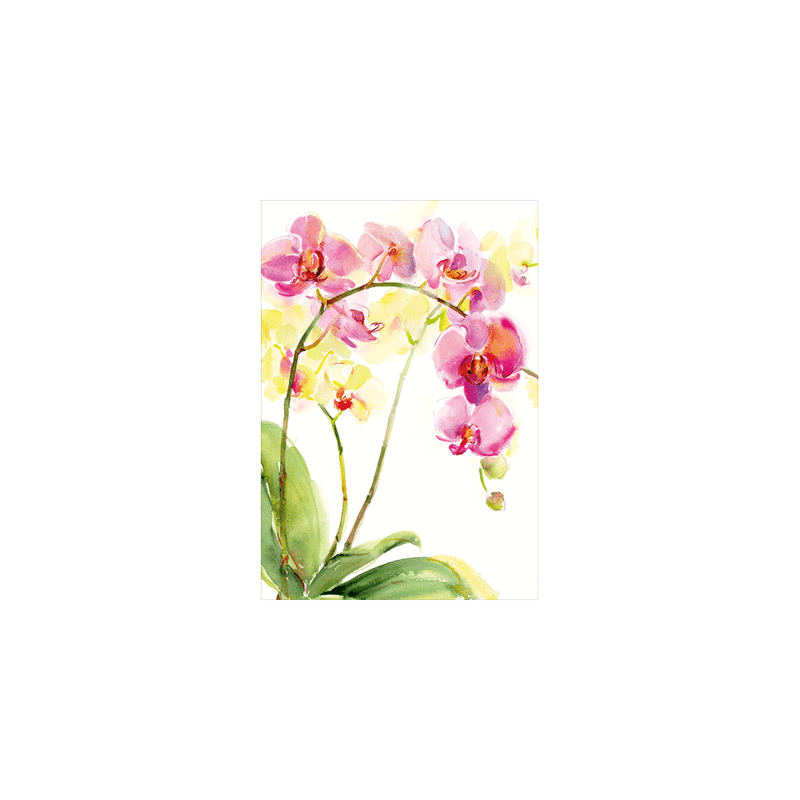 Caspari Floral Blank - Set Of Six Greeting Cards And Envelopes