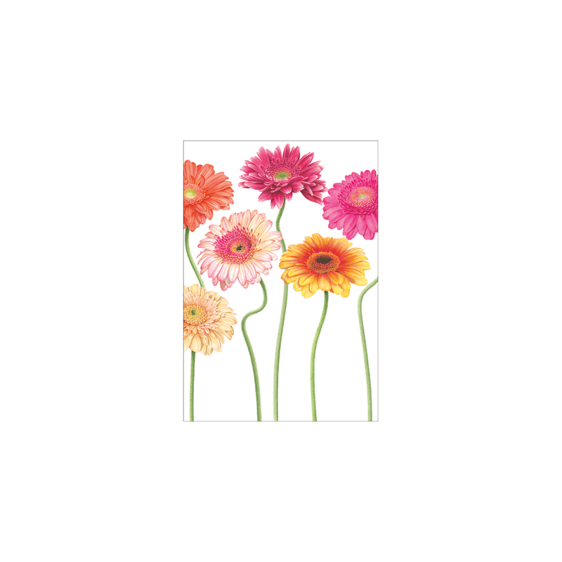 Caspari Floral Whimsy Birthday - Set Of Six Greeting Cards And Envelopes