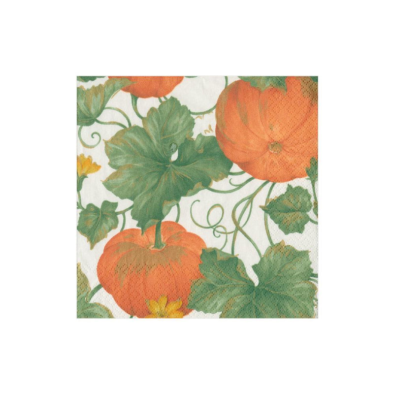 Caspari Heirloom Pumpkins Paper Cocktail Napkins In Ivory & Orange - 20 Per Package