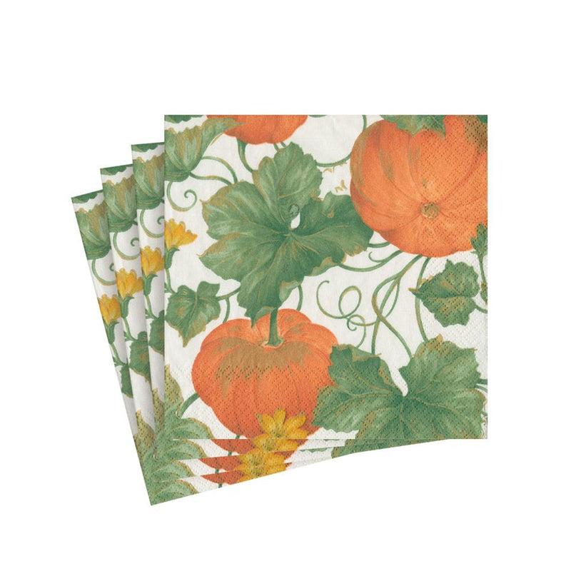 caspari Heirloom Pumpkins Paper Cocktail Napkins in Ivory & Orange - 20 Per Package