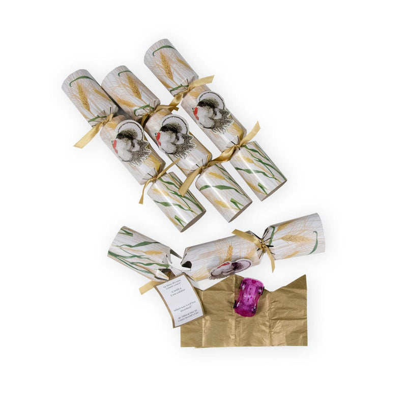 Caspari Homestead Turkey Celebration Crackers - 8 Per Box