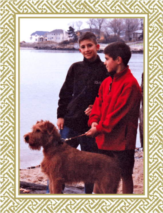 caspari Personalized Fretwork Gold Foil Holiday Photo Cards - Portrait