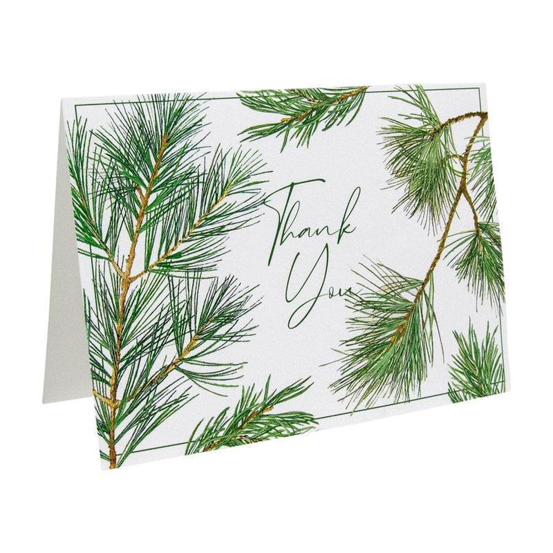 Caspari Pine Branches Thank You Notes - 8 Note Cards And Envelopes