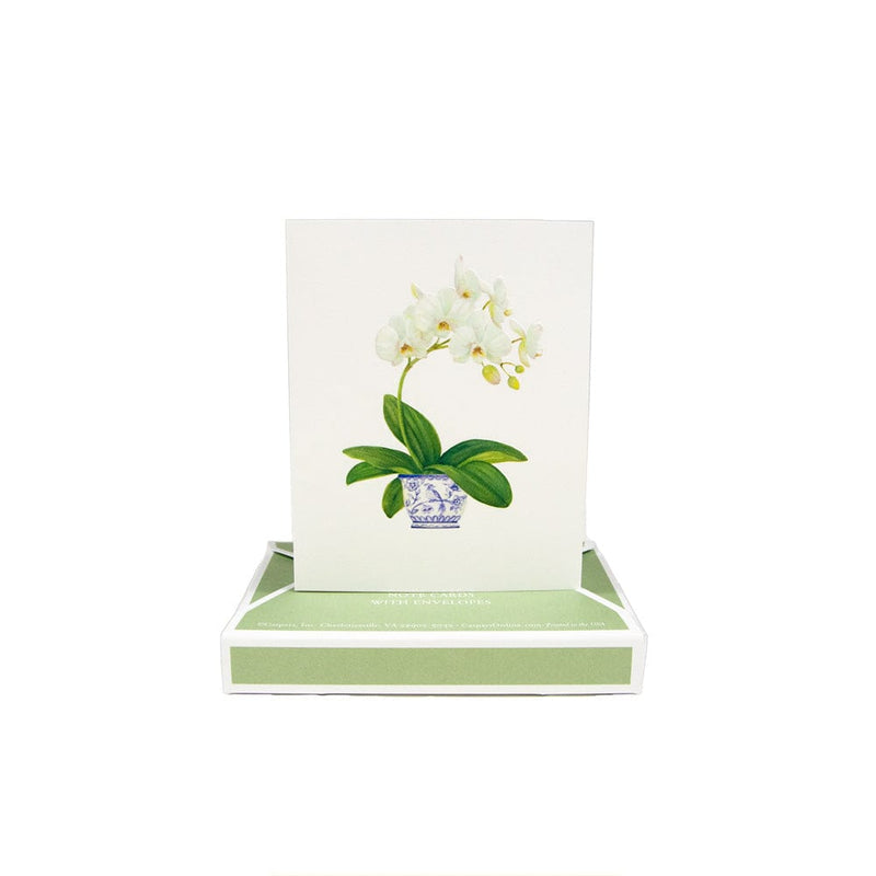 Caspari Potted Orchids Boxed Note Cards - 10 Cards And 10 Envelopes Per Package