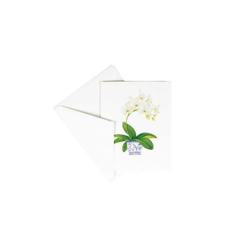 Caspari Potted Orchids Boxed Note Cards - 10 Cards And 10 Envelopes Per Package
