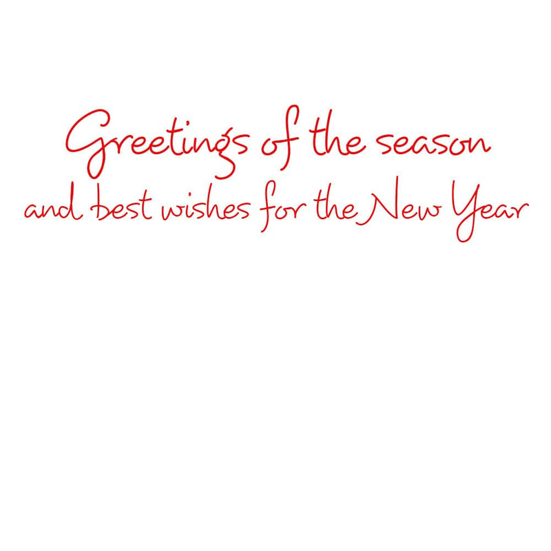 Caspari Santa And Reindeer With Envelope Small Boxed Christmas Cards - 15 Christmas Cards & 15 Envelopes