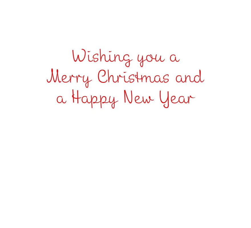 Caspari Sparkles And Twinkles B-Size Boxed Christmas Cards - 15 Cards And Envelopes