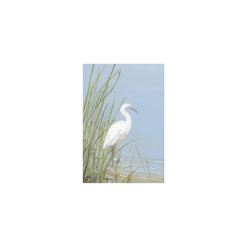 caspari Sympathy - Set Of Six Greeting Cards And Envelopes