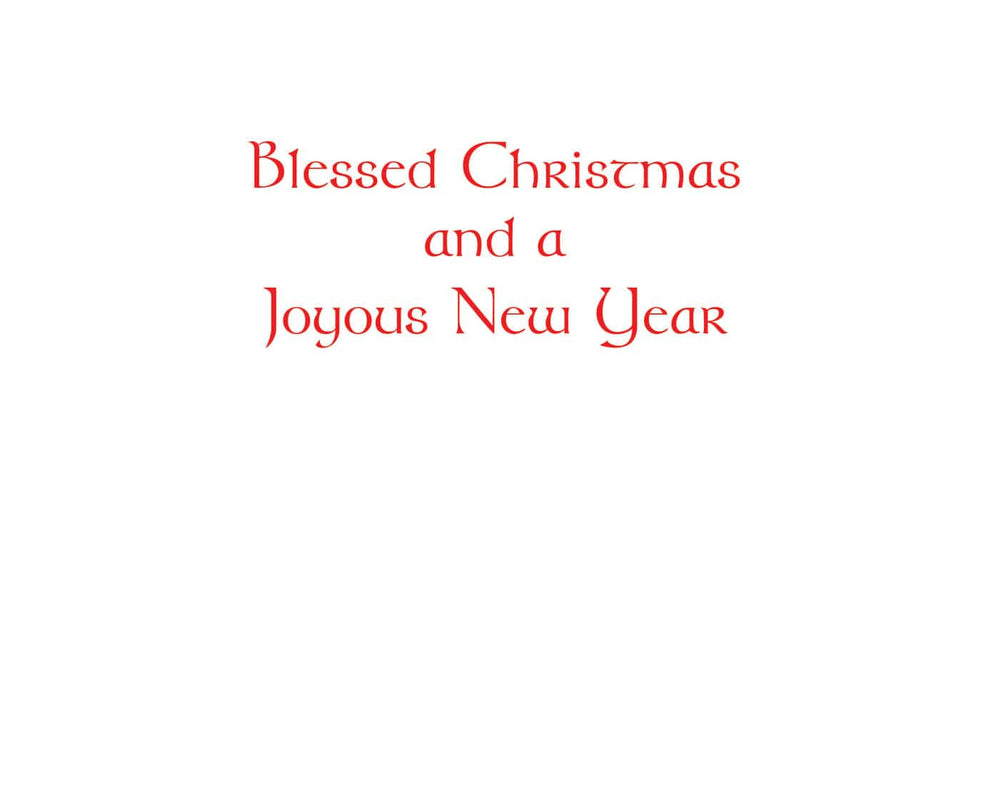 Caspari Virgin And Child In A Garden C-Size Boxed Christmas Cards - 15 Cards And Envelopes