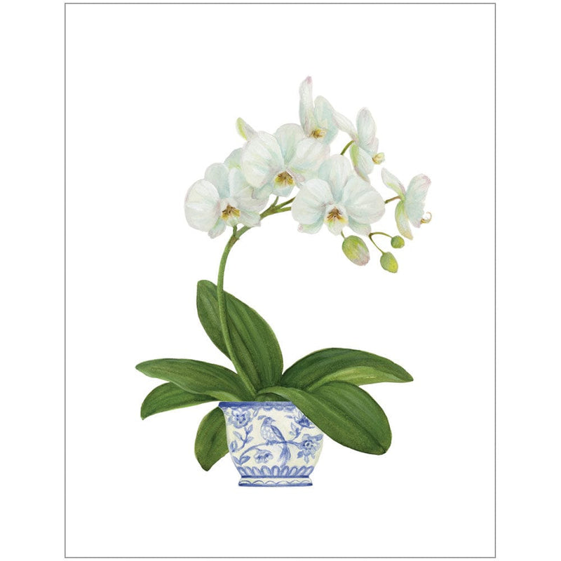 caspari White Orchid Enclosure Cards & Envelopes - 4 Mini Cards & 4 Envelopes