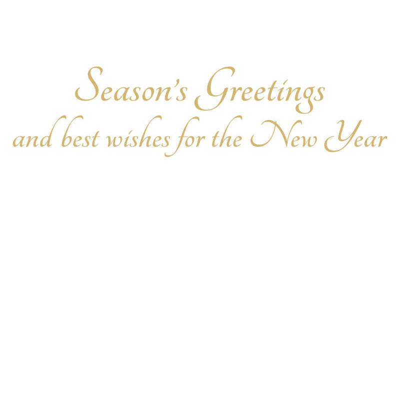 Caspari Winter Trees C-Sized Christmas Cards Pack In Cello - 5 Cards & 5 Envelopes