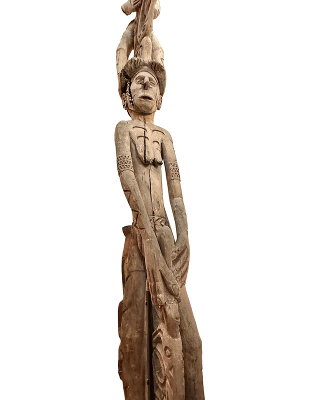 Cassera ASMAT Bis Pole