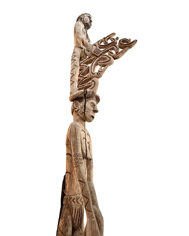 cassera ASMAT Bis Pole