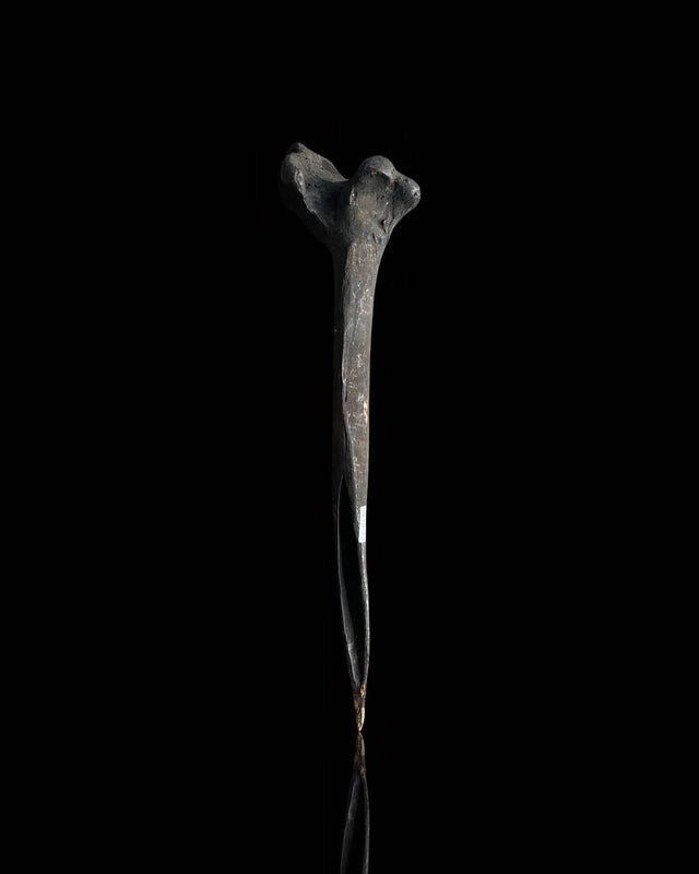 Cassera ASMAT Cassowary Dagger