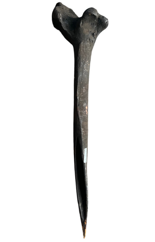 cassera ASMAT Cassowary Dagger