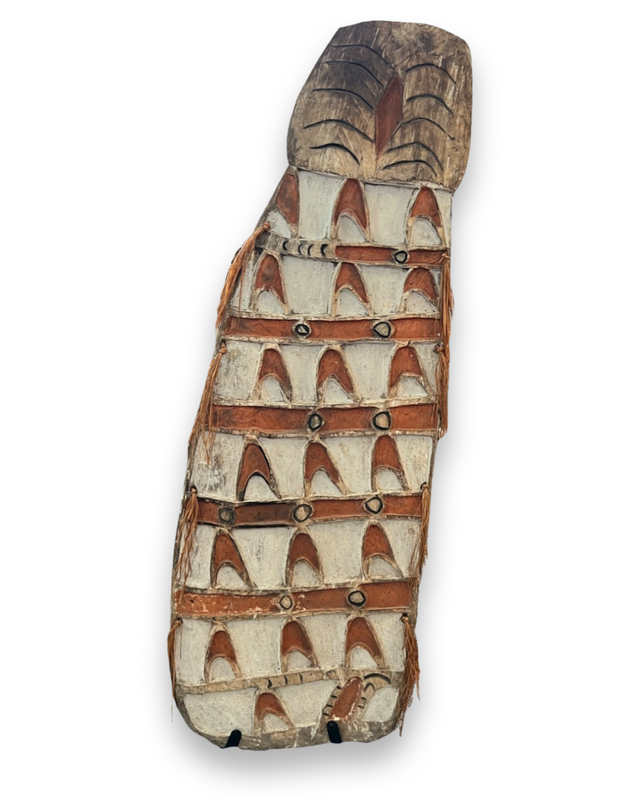 cassera Asmat Shield