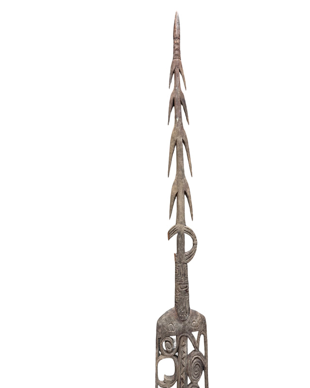 Cassera ASMAT Spear