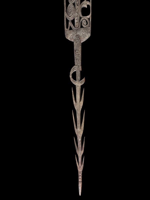Cassera ASMAT Spear