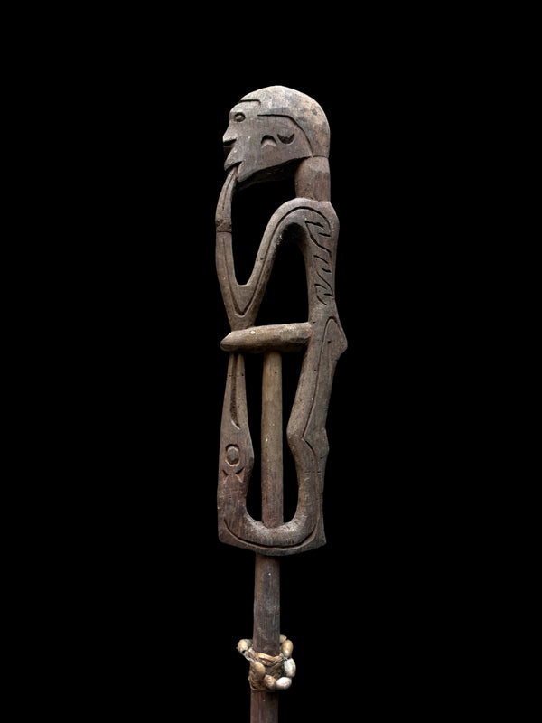 Cassera ASMAT Spear