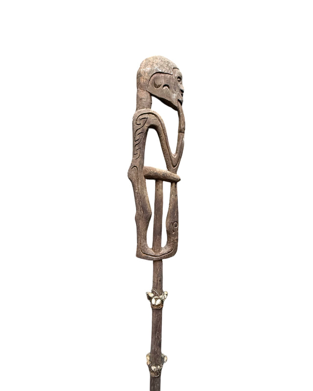 cassera ASMAT Spear