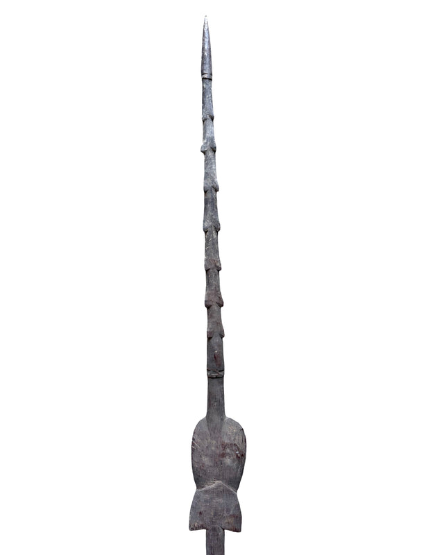 cassera ASMAT Spear