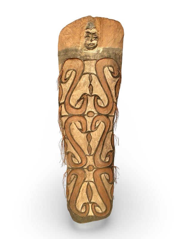 cassera Asmat Wooden Shield