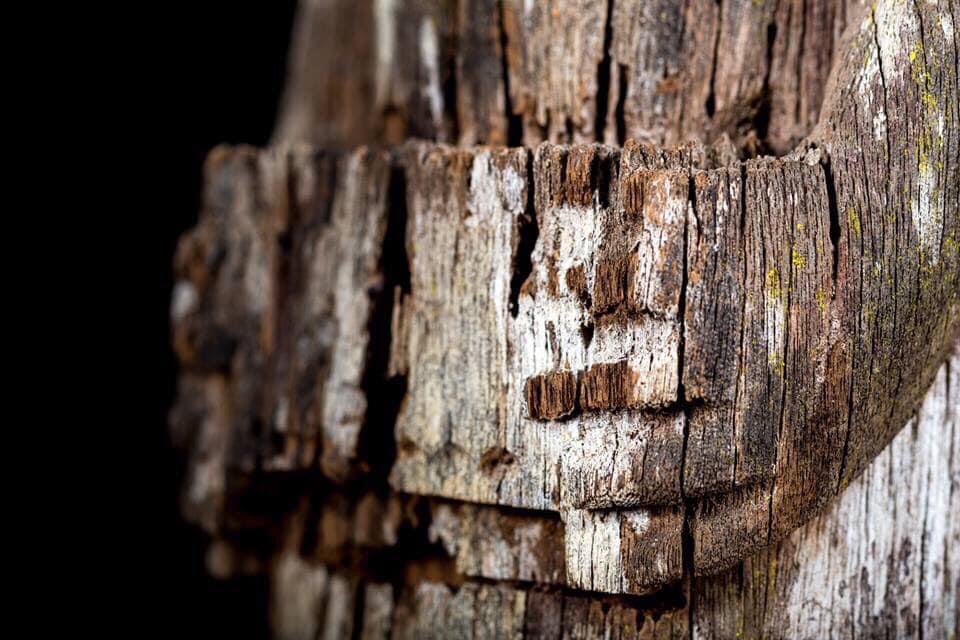 Cassera Dayak Hampatong