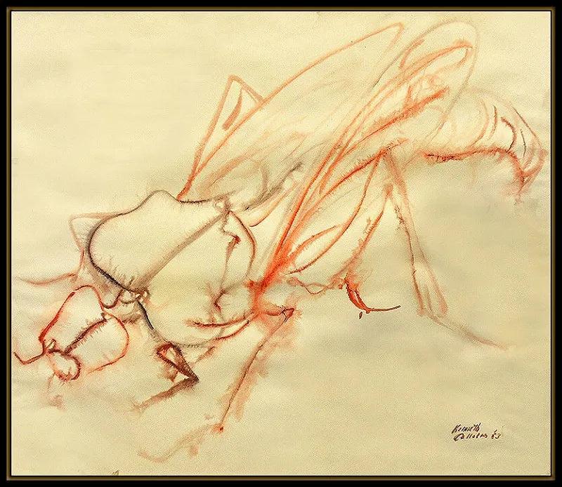 Cassera Grasshopper By Kenneth Callahan