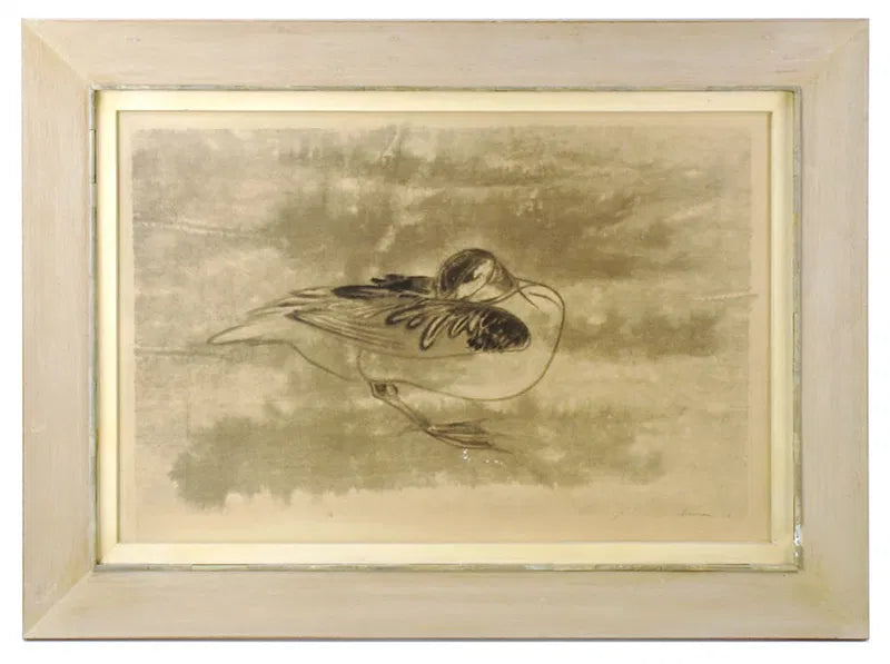 Cassera Preening Duck By Morris Graves