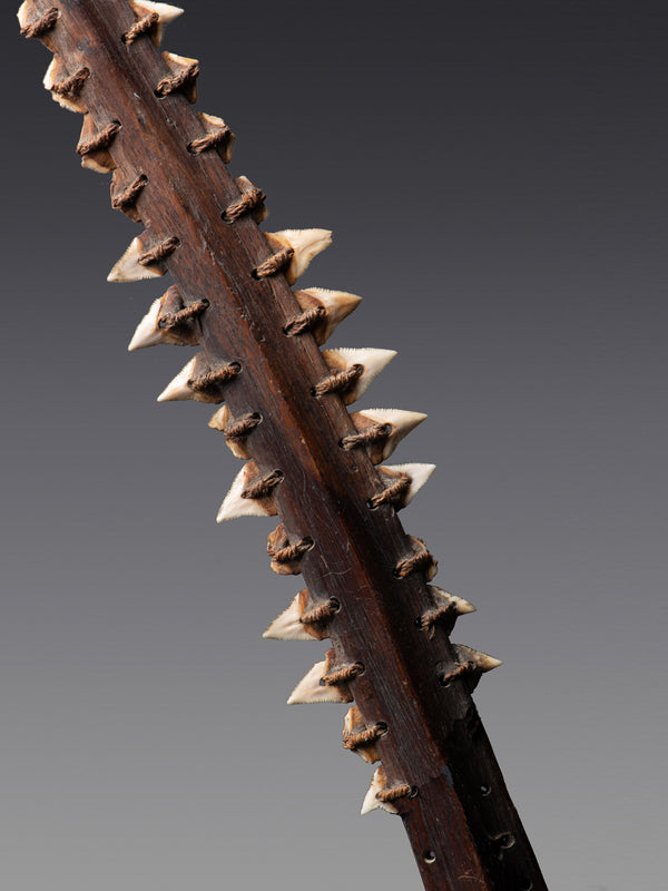 Cassera Shark Tooth Dagger Gilbert Islands
