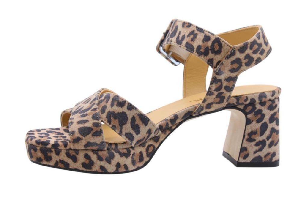 Catwalk Amousch/38